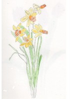 http://francesleeceramics.com/files/gimgs/th-28_dwarf daffodil jetfire web.jpg
